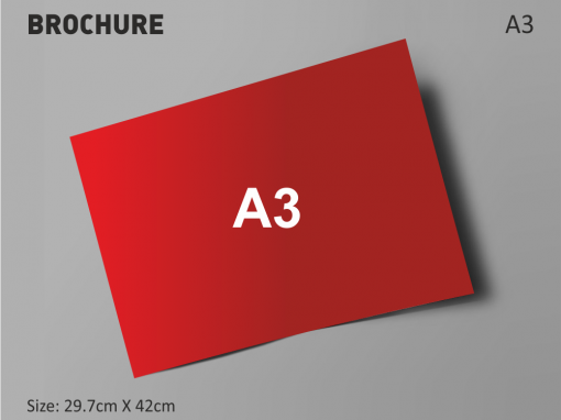 A3 Size Brochure