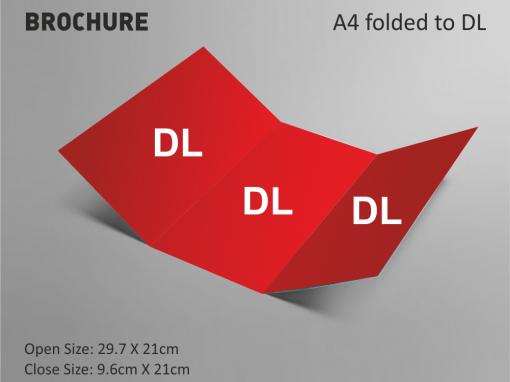 A4 Folded To DL Size Brochure